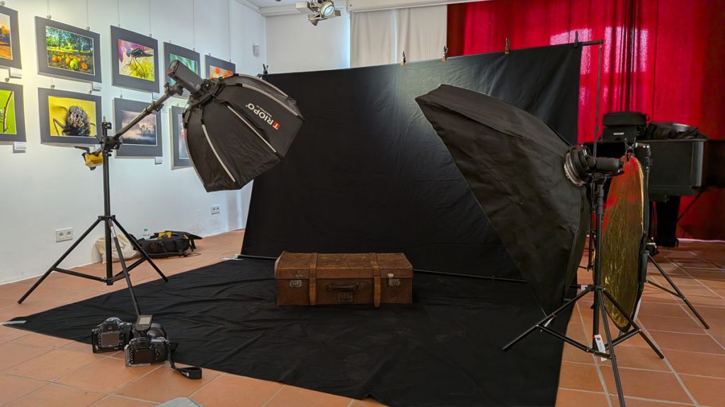 Das mobile Fotostudio bei einem Hundeshooting im Museum
