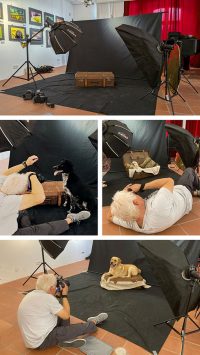 Hundeshooting mobiles Studio im MQ-Tirschenreuth